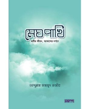 মেঘপাখি